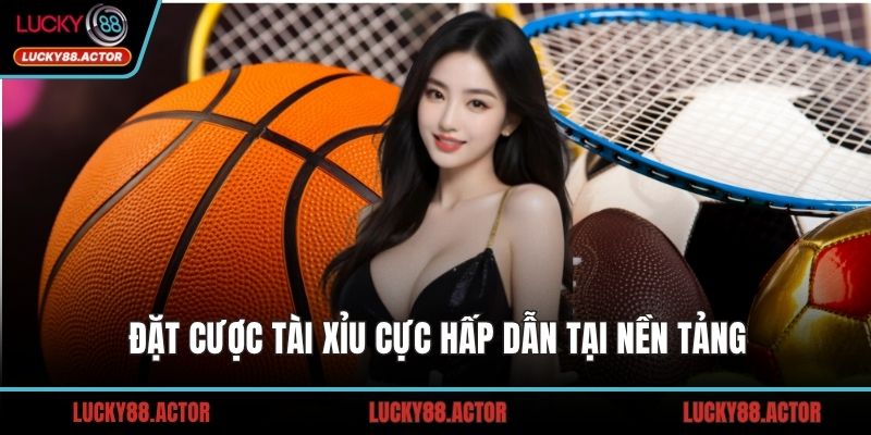 Đặt cược tài xỉu cực hấp dẫn tại nền tảng