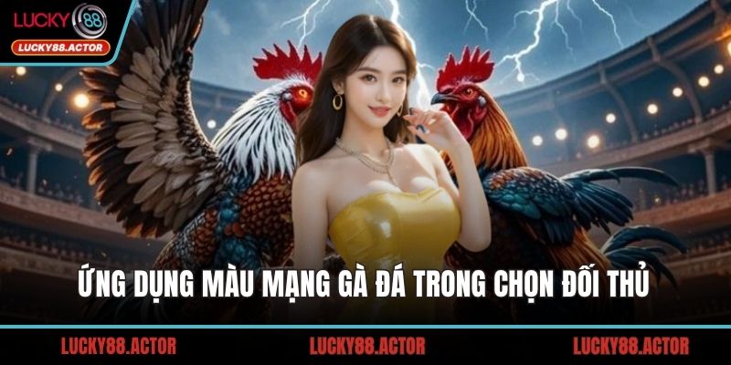 Ứng dụng màu mạng gà đá trong chọn đối thủ 